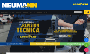 Servitecaneumann.com thumbnail
