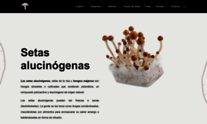 Setasalucinogenas.com thumbnail