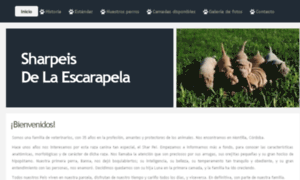 Sharpeisdelaescarapela.com thumbnail