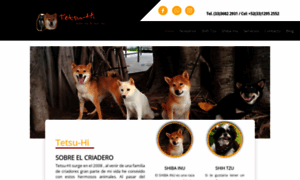 Shibainu.com.mx thumbnail