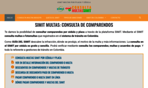 Simitmultasconsulta.online thumbnail