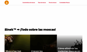 Sinek.es thumbnail