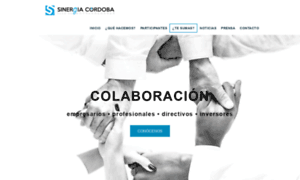 Sinergiacordoba.com thumbnail