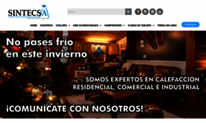Sintecsa.com.mx thumbnail