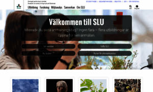 Slu.se thumbnail