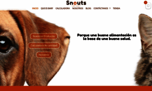 Snoutsbarf.com.co thumbnail