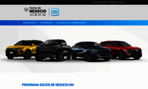 Sociosdenegociogm.com.mx thumbnail