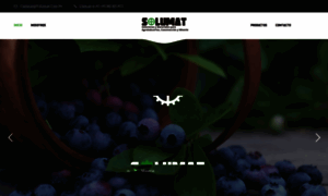 Solumat.com.pe thumbnail