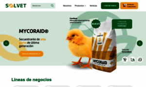Solvet.com.pe thumbnail