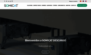 Somicat.com thumbnail
