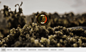 Sommeliersmexicanos.org thumbnail