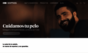 Somos.company thumbnail