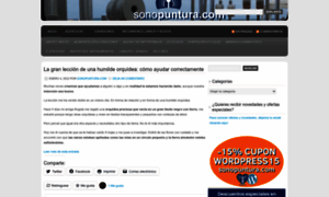 Sonopuntura.wordpress.com thumbnail