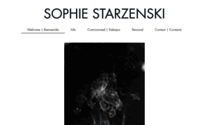 Sophiestarzenski.com thumbnail