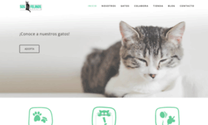 Sosfelinos.org thumbnail