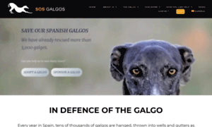 Sosgalgos.com thumbnail