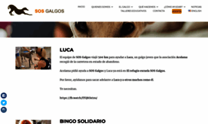 Sosgalgos.org thumbnail