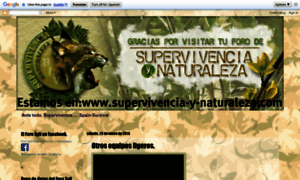 Spain-survival.blogspot.com thumbnail