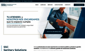 Ssconsulting.cl thumbnail