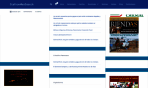 Stallionmexsearch.com thumbnail