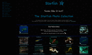 Starfish.ch thumbnail