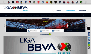 Sub13.ligamx.net thumbnail