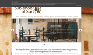 Subiendoalsur.org thumbnail