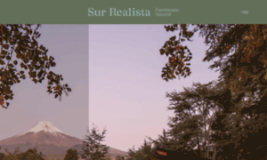 Sur-realista.cl thumbnail
