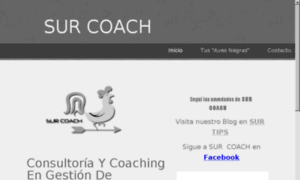 Surcoach.com thumbnail