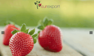 Surexport.es thumbnail