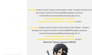 Susanarubin.com thumbnail
