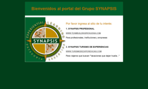 Synapsis-patagonia.com thumbnail