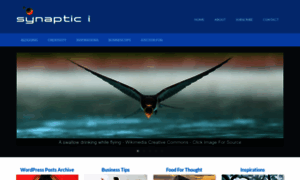 Synaptici.com thumbnail