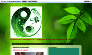 Taichi-cordoba.blogspot.com thumbnail