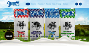 Tamariz.com.mx thumbnail