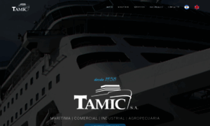 Tamic.com.ar thumbnail