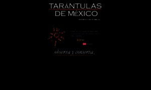 Tarantulasdemexico.com thumbnail
