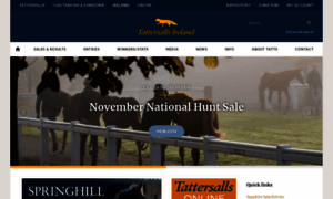 Tattersalls.ie thumbnail