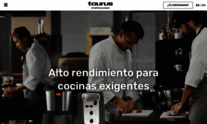 Taurusprofessional.com thumbnail