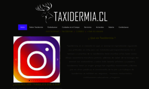 Taxidermia.cl thumbnail