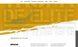Tdefitness.com thumbnail