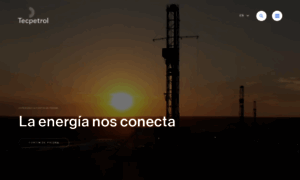 Tecpetrol.com thumbnail