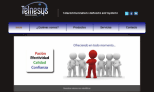 Telnesys.com.mx thumbnail