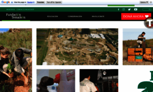 Temaiken.org.ar thumbnail