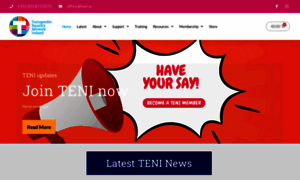 Teni.ie thumbnail