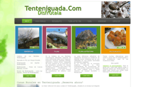 Tenteniguada.com thumbnail