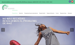 Terapiasbreve.com thumbnail