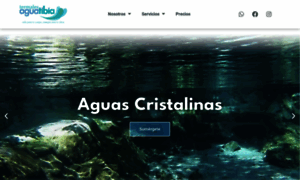 Termalesaguatibia.com thumbnail