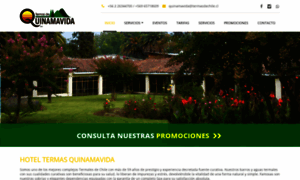 Termasdechile.cl thumbnail