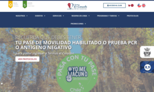 Termaselcorazon.cl thumbnail